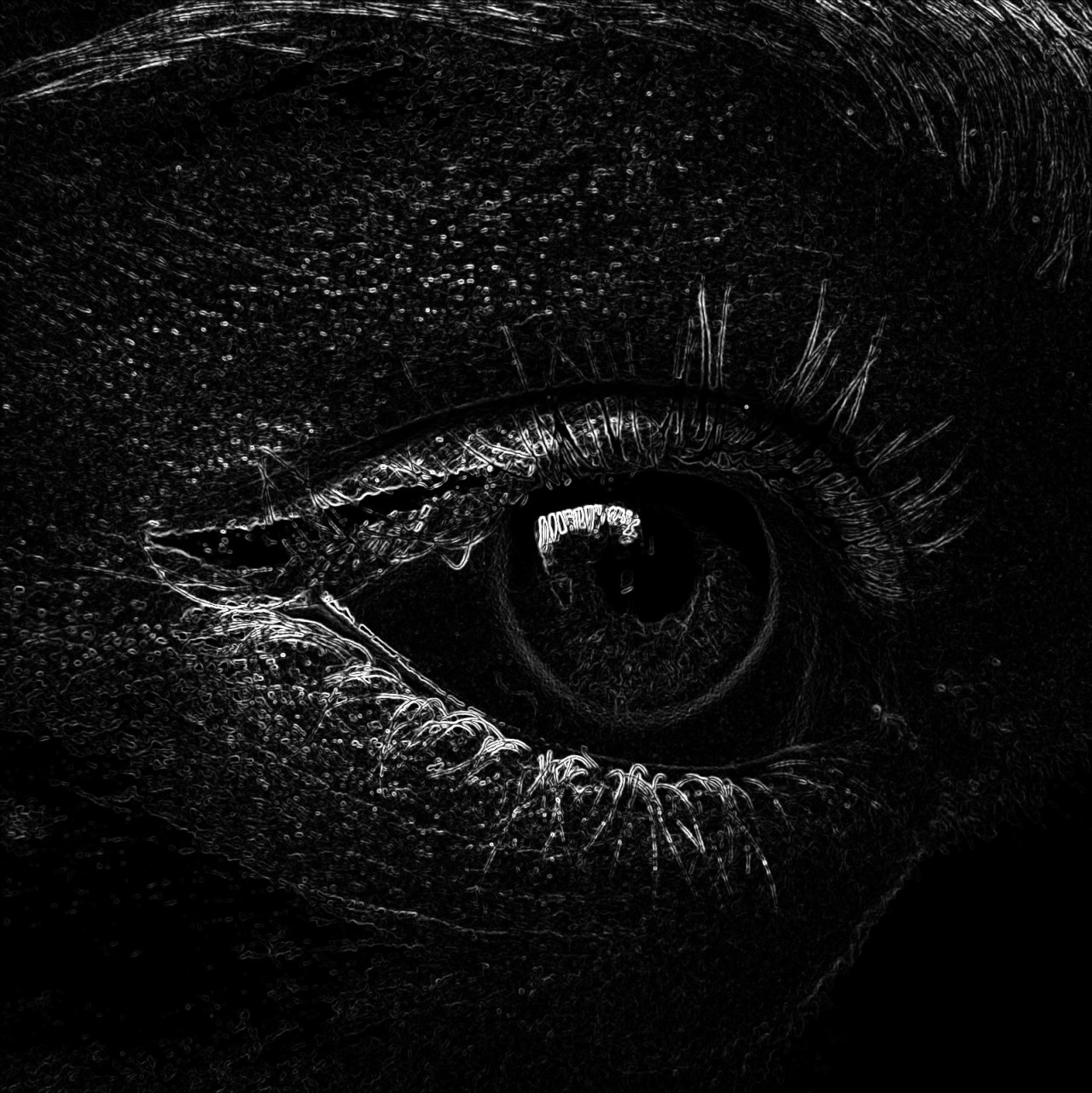 Archillect ID 120803