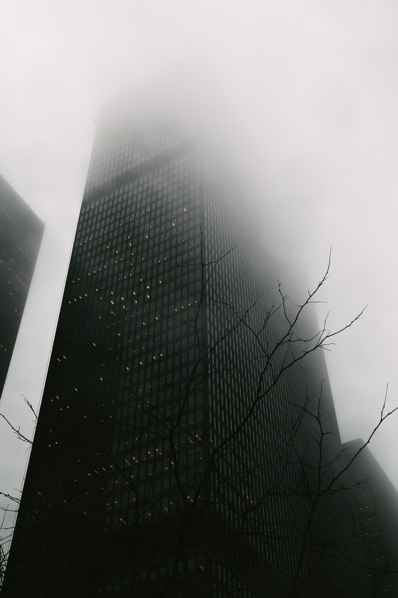 Archillect ID 120819