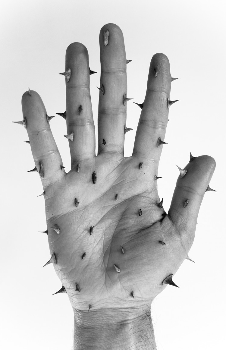 Archillect ID 120829
