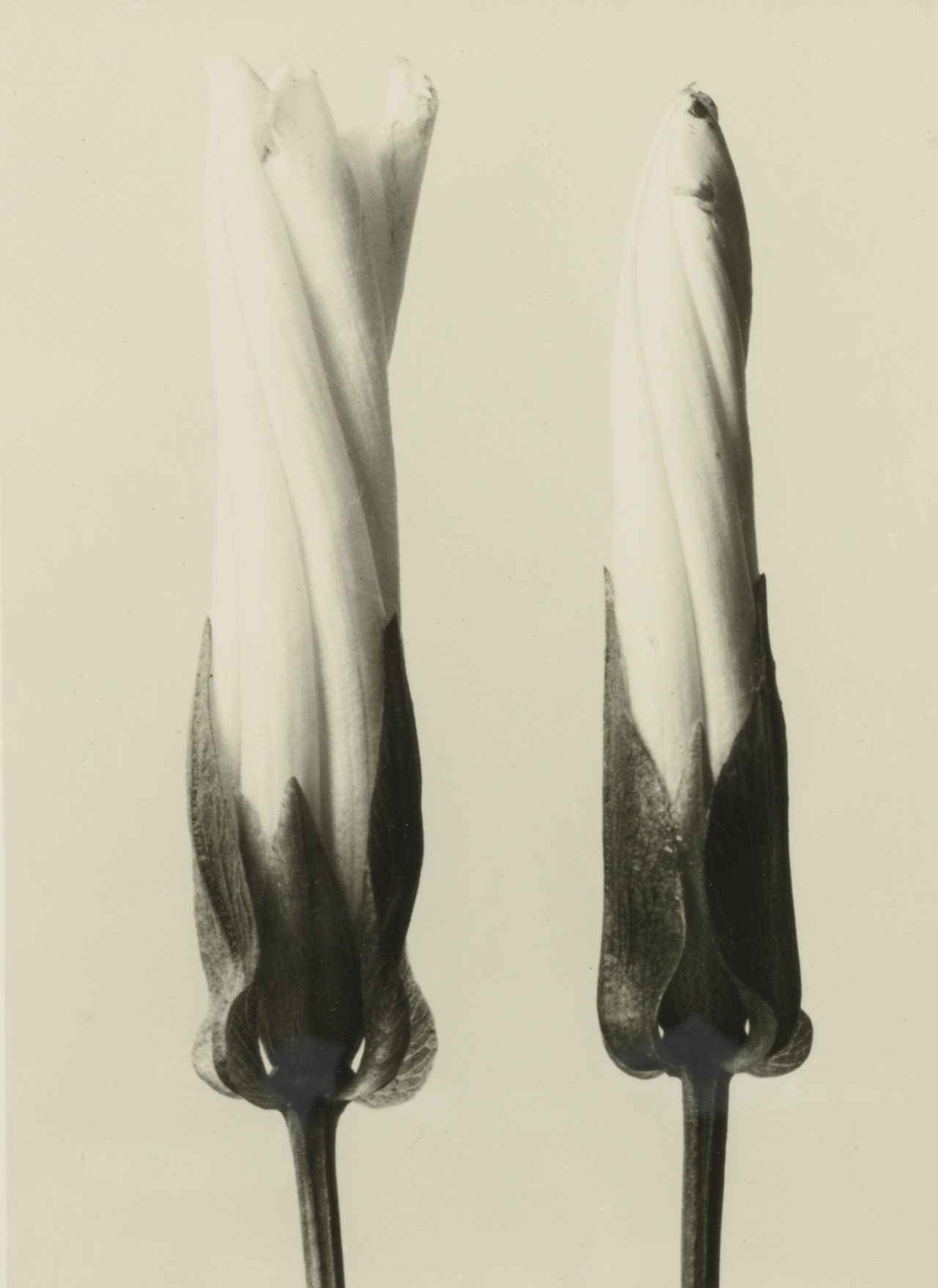 Archillect ID 120849