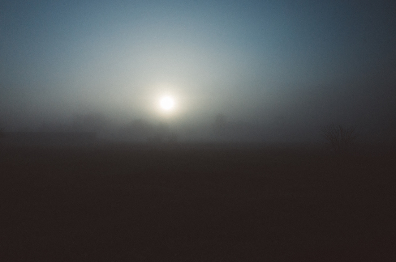 Archillect ID 120922