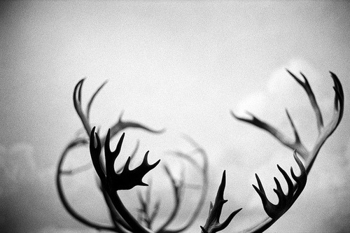 Archillect ID 121014