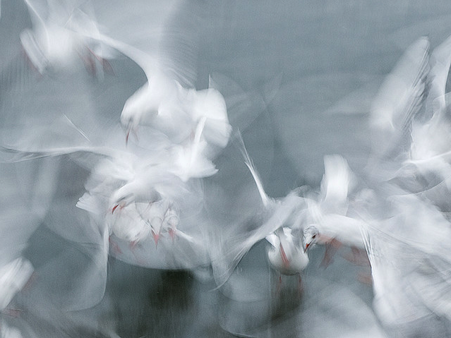 Archillect ID 121223