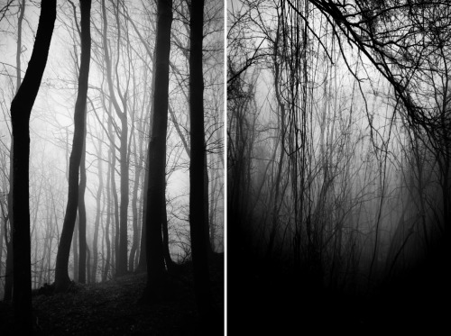 Archillect ID 121284