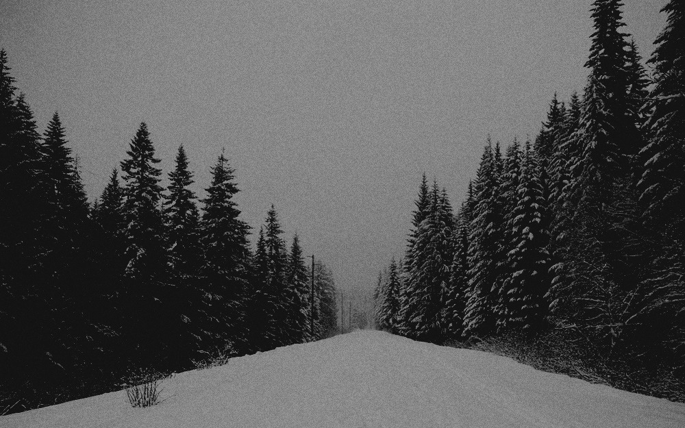 Archillect ID 121423