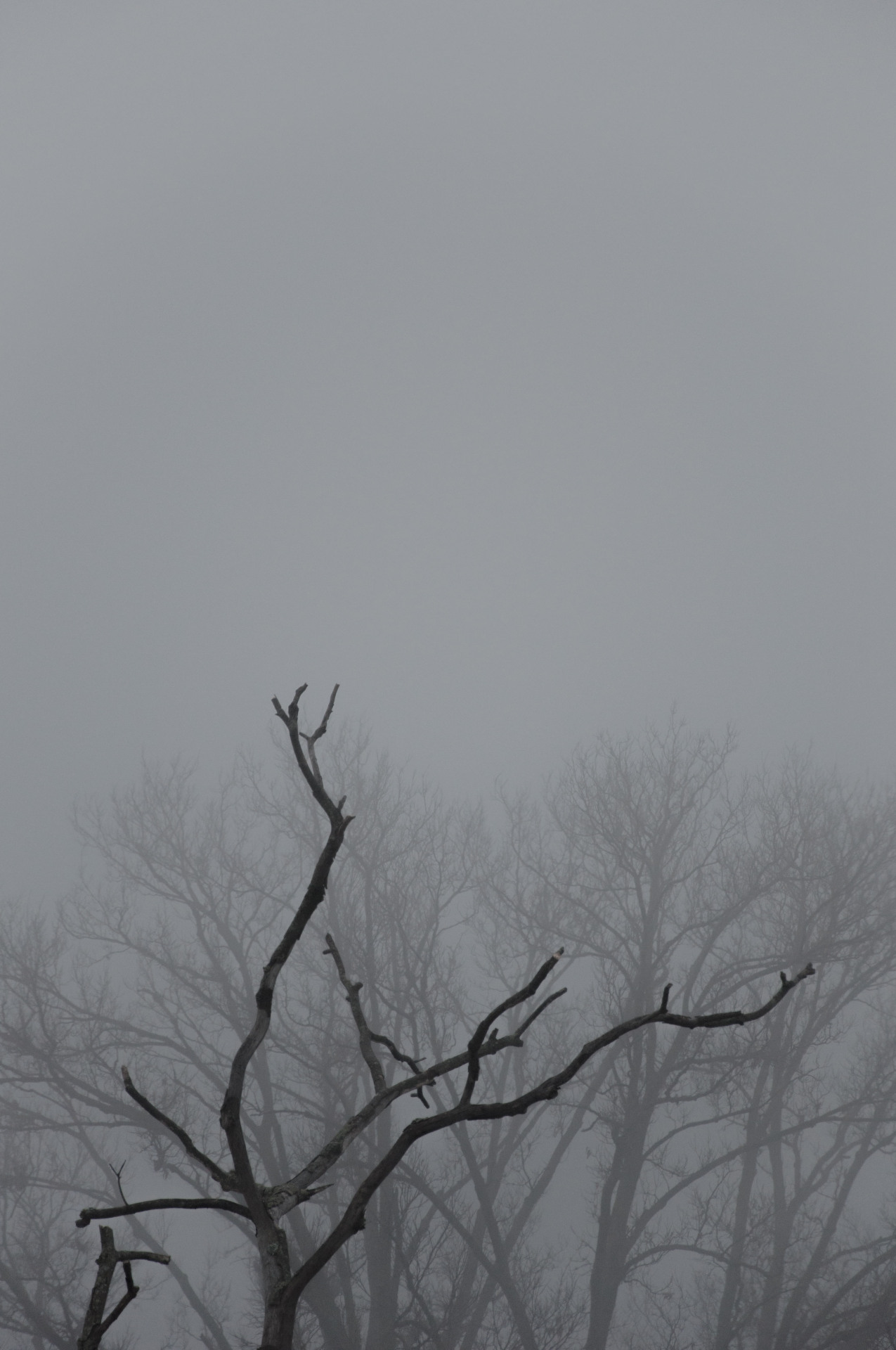 Archillect ID 121472