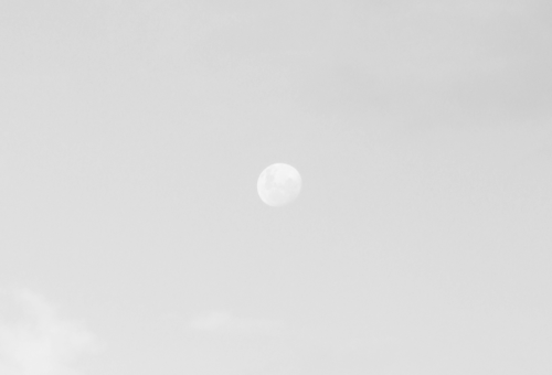 Archillect ID 121495