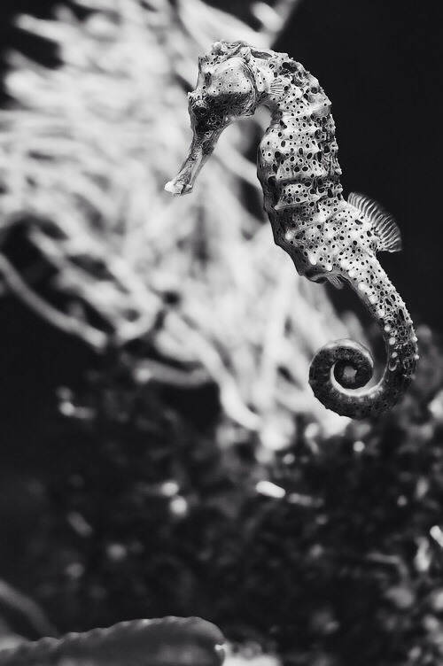 Archillect ID 121536