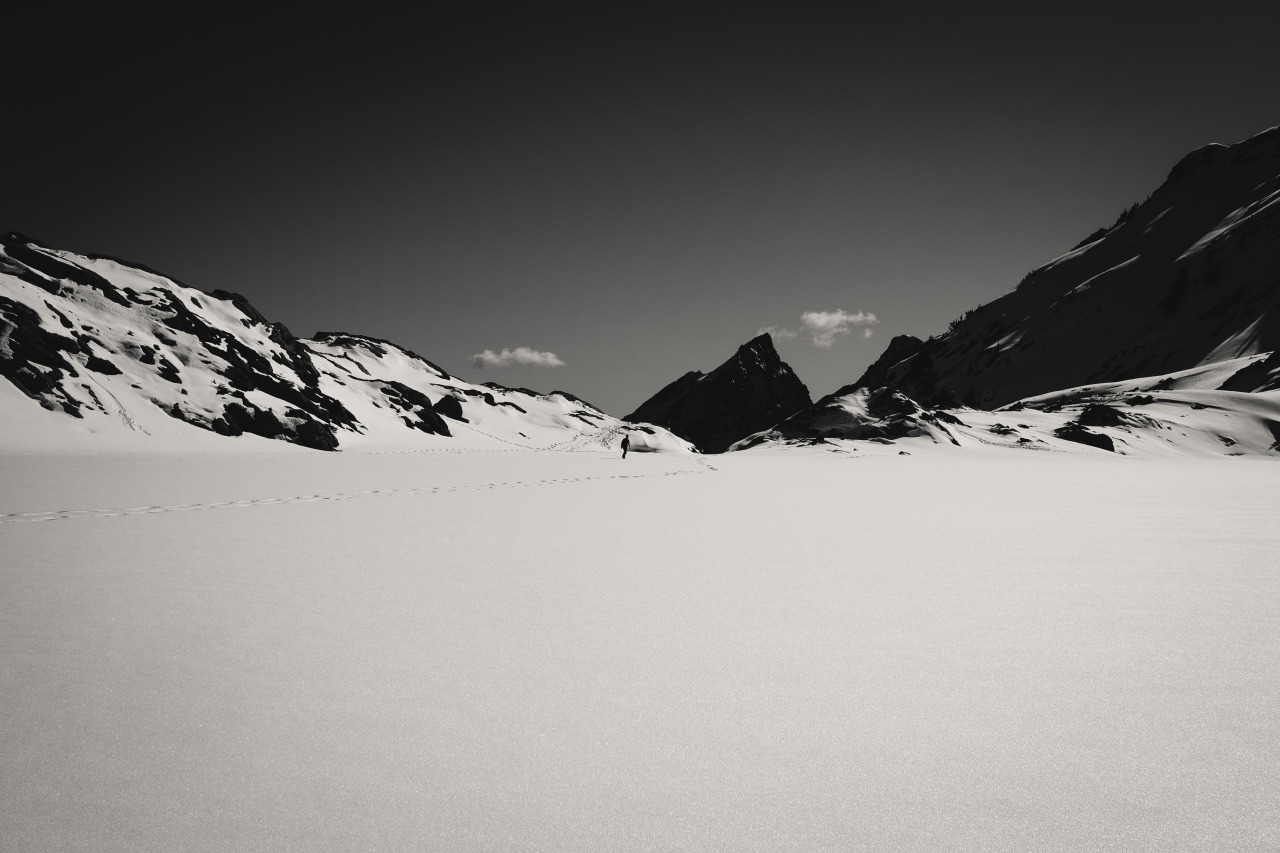 Archillect ID 122099