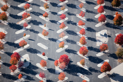 Archillect ID 122249
