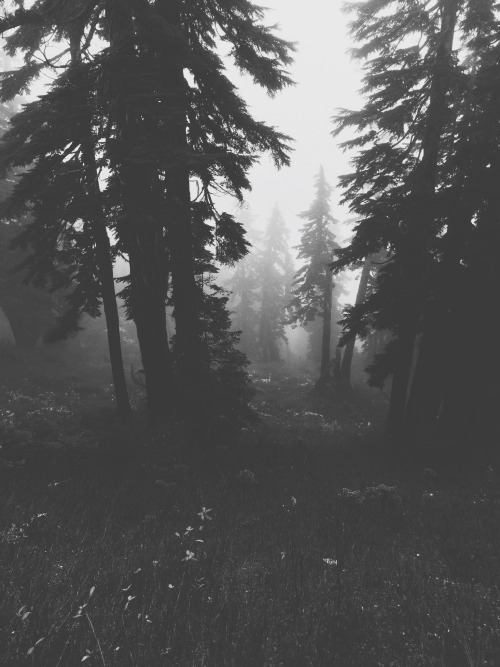 Archillect ID 122419