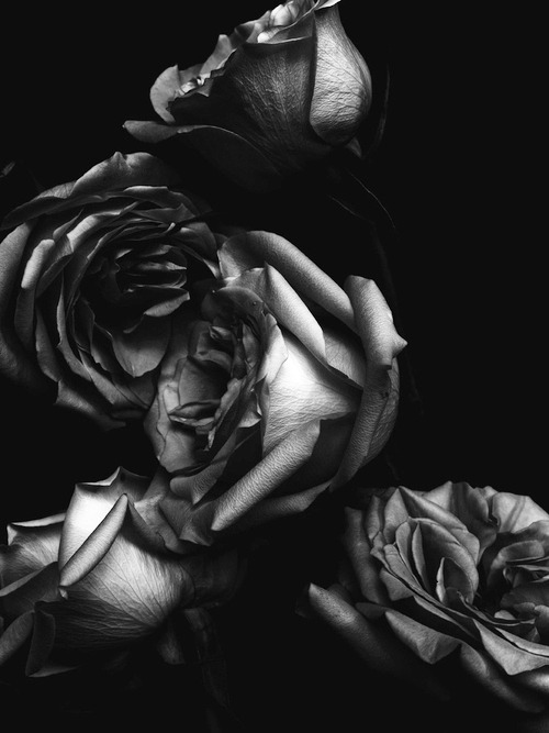 Archillect ID 122451