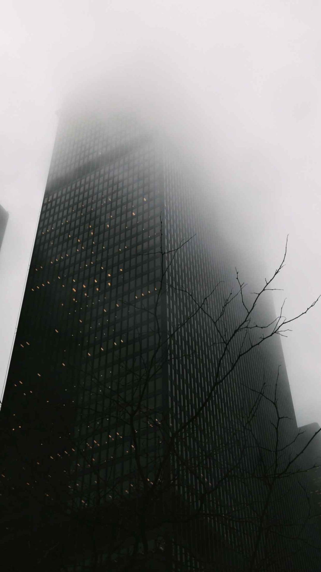 Archillect ID 122575