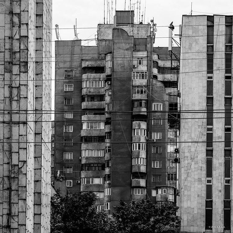 Archillect ID 122586