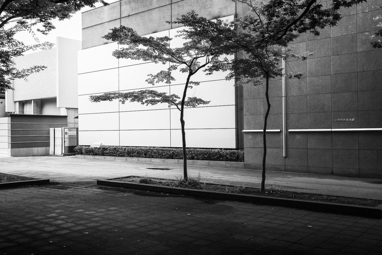 Archillect ID 122619