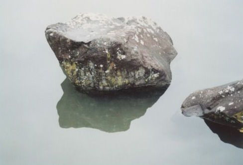 Archillect ID 122725