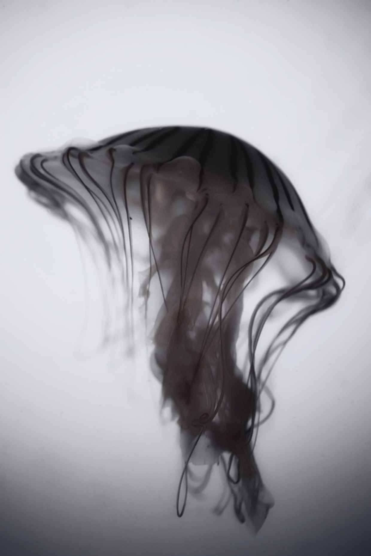Archillect ID 123253