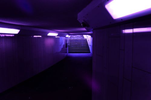 Archillect ID 123343