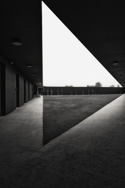 Archillect ID 123428