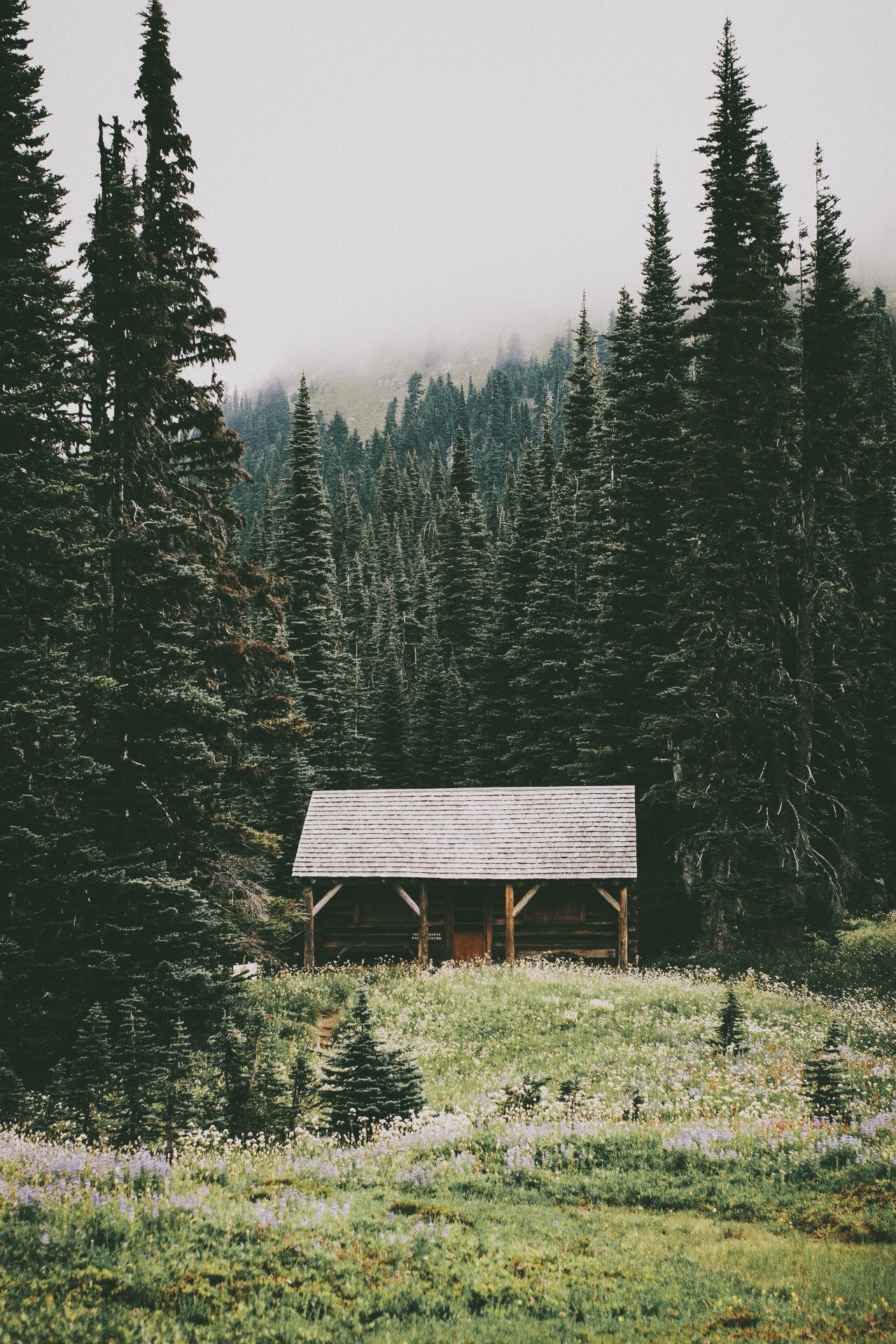 Archillect ID 123430