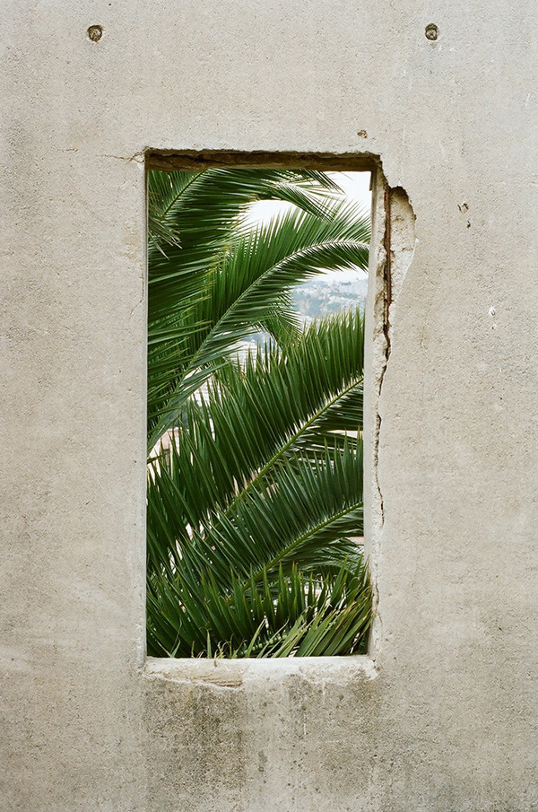 Archillect ID 123637
