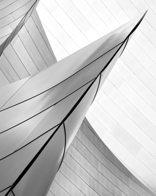 Archillect ID 123940