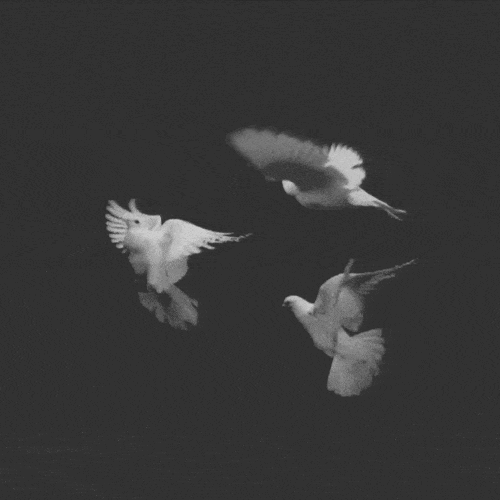 Archillect ID 123956