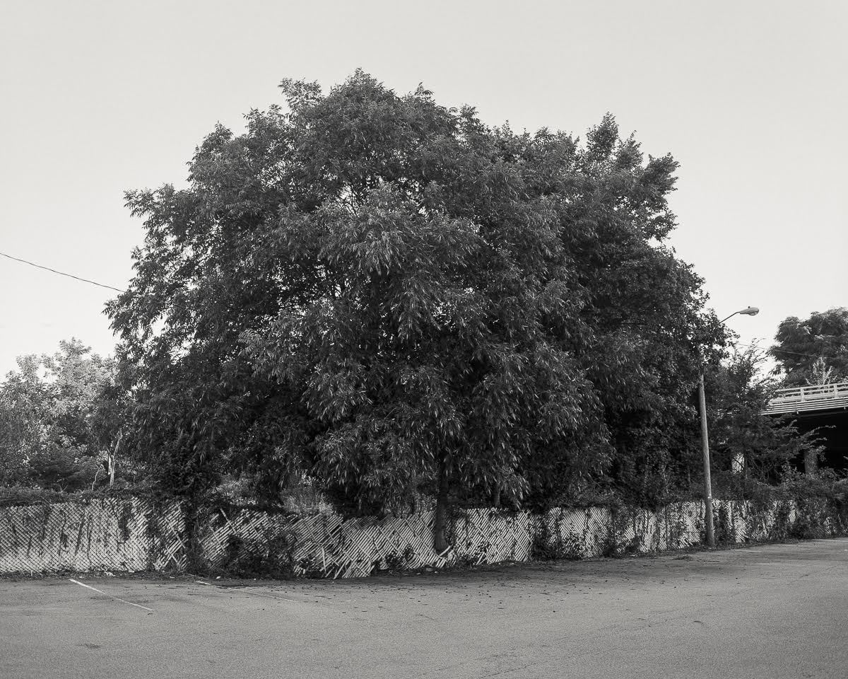 Archillect ID 123984