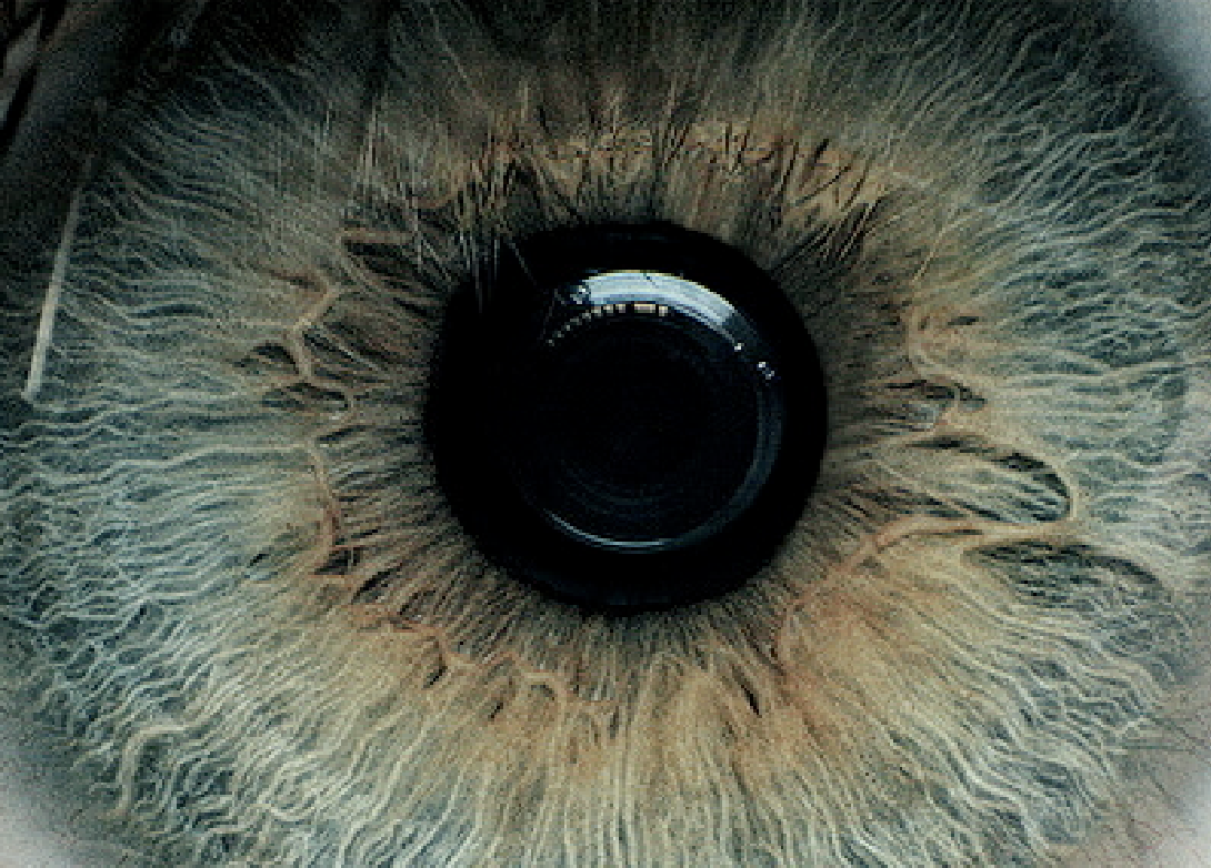 Archillect ID 124022
