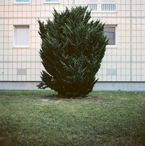 Archillect ID 124170