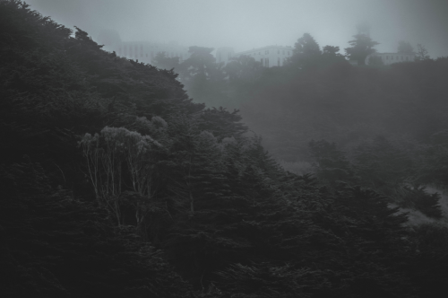 Archillect ID 124350
