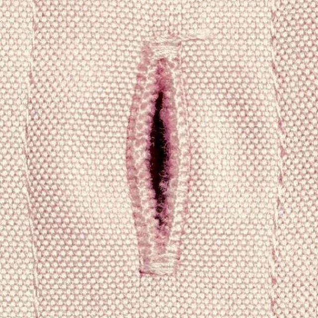 Archillect ID 124434