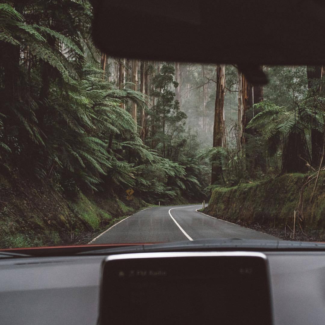 Archillect ID 124436