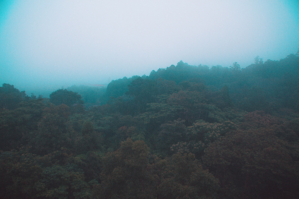 Archillect ID 124899