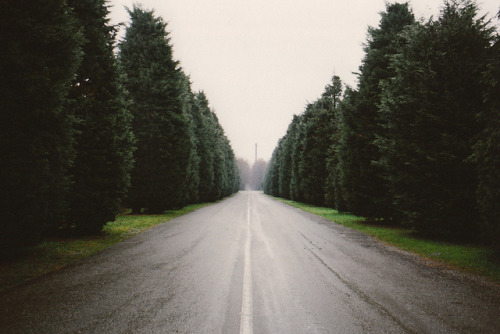 Archillect ID 124968