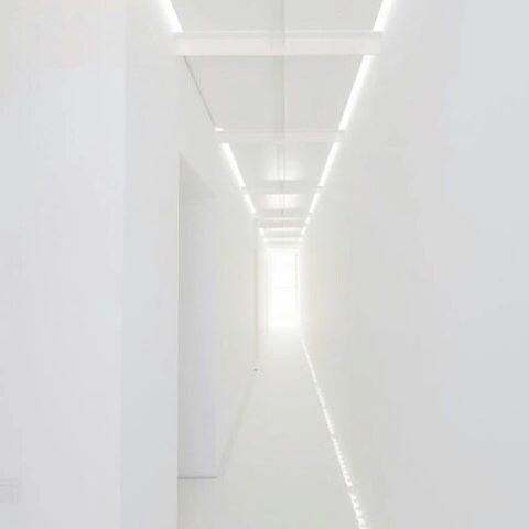 Archillect ID 124982
