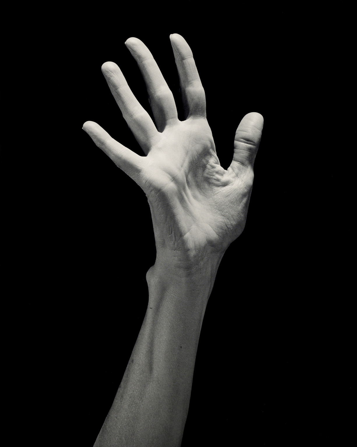 Archillect ID 125306