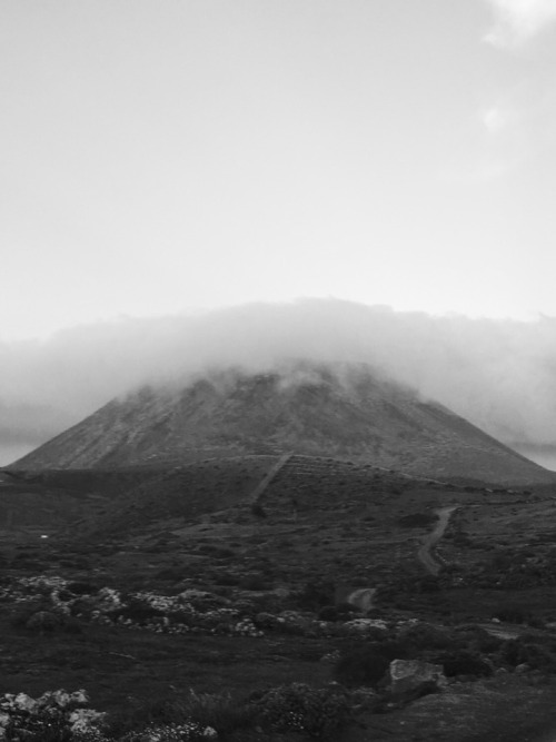 Archillect ID 125353