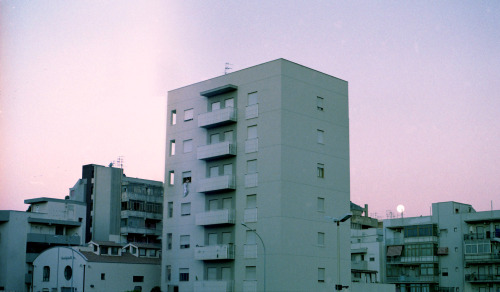 Archillect ID 125424