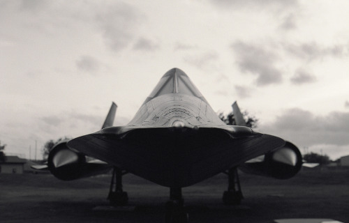 Archillect ID 125725