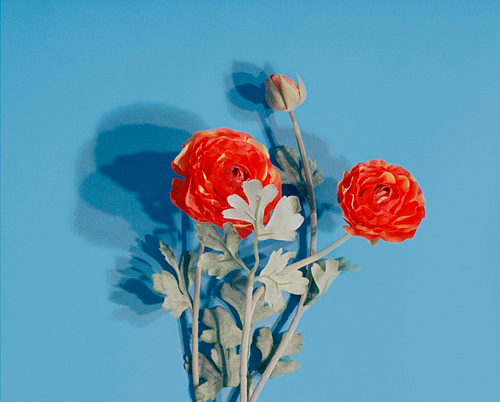 Archillect ID 125789