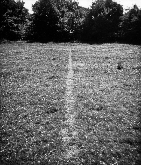 Archillect ID 125797