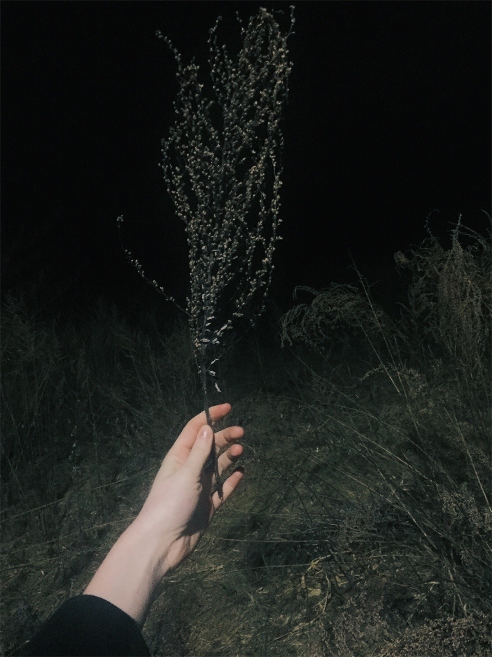 Archillect ID 125911