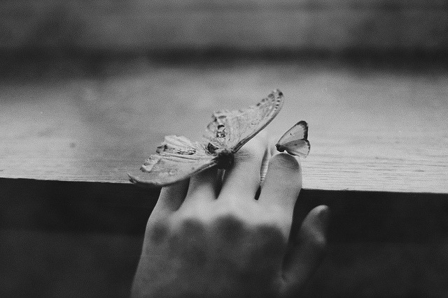 Archillect ID 126217