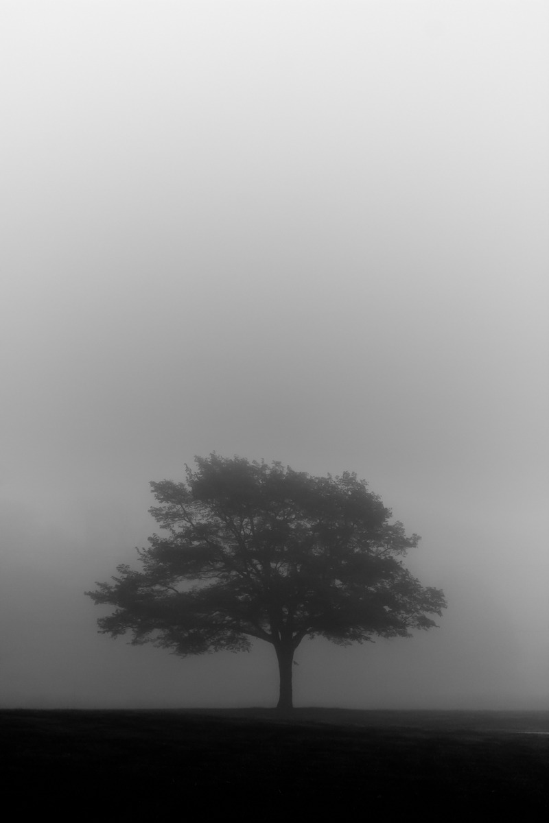 Archillect ID 126542