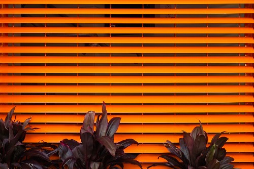 Archillect ID 126619