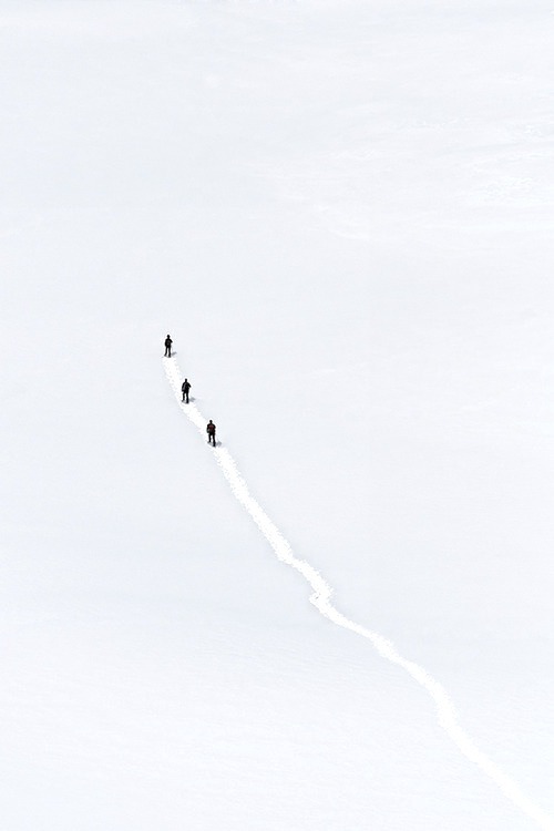 Archillect ID 126671