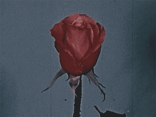 Archillect ID 126727