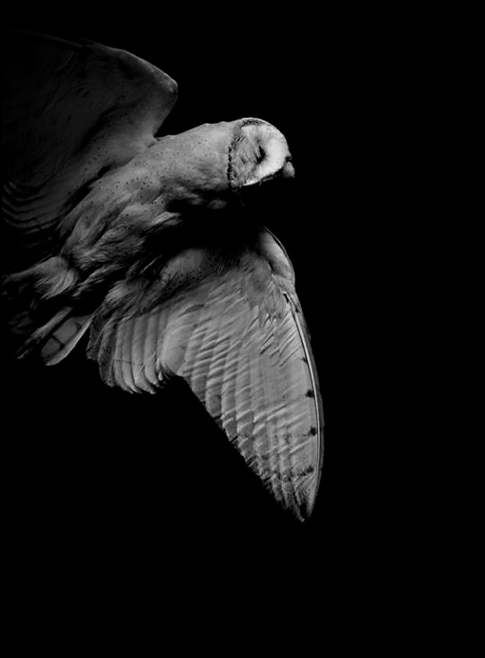 Archillect ID 126827