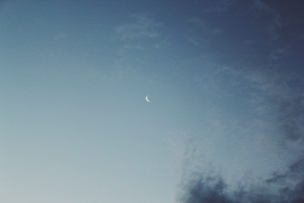 Archillect ID 127168